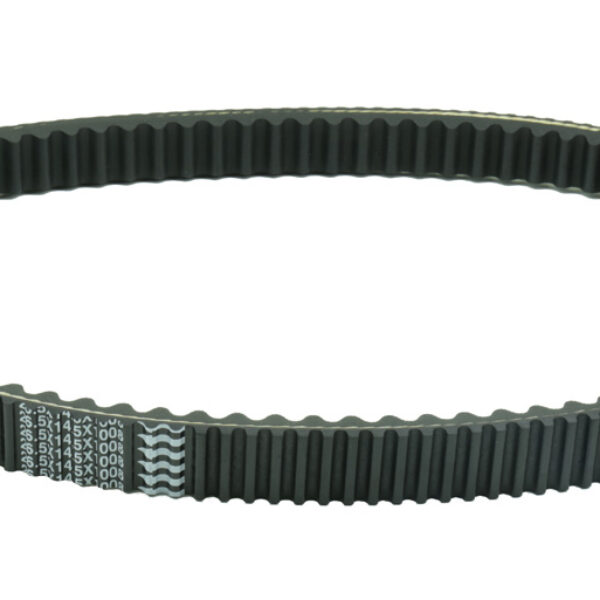 Athena ATV – PIAGGIO X9 500 (2001-2002)