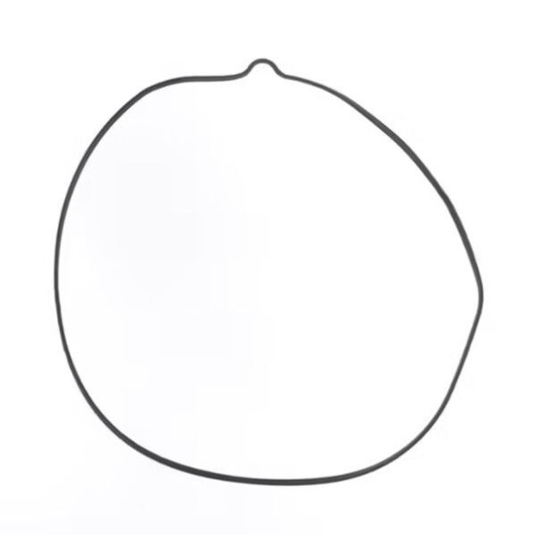 Athena Uszczelka – BETA RR 350 (2020-2026)