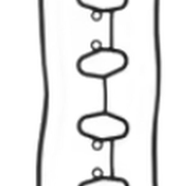 Uszczelka Pokrywy Zaworowej Honda CBR 600F`01-06, CBR 600F4 Sport`01-03 (PC35F, PC35H) | Athena