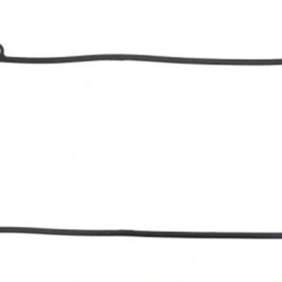 Athena Uszczelka - SUZUKI GSXR 1300 HAYABUSA (1999-2014)