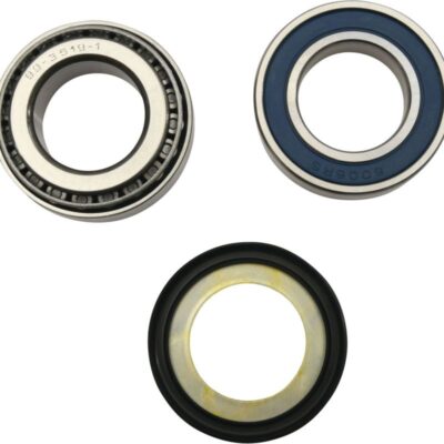 All Balls Uszczelniacz - INDIAN FTR 1200/RALLY (2019-2024)