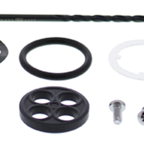 Zestaw Naprawczy Kranika Honda TRX250X 87-92, TRX300 EX 93-06 | All Balls