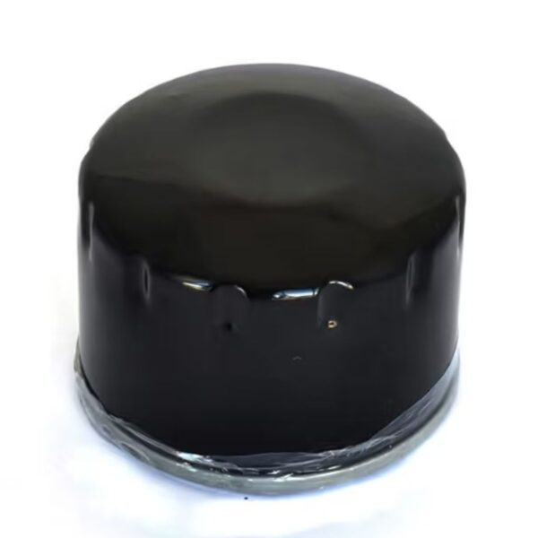 Athena Filtr oleju – BMW C 650 GT / SPORT (2004-2025)