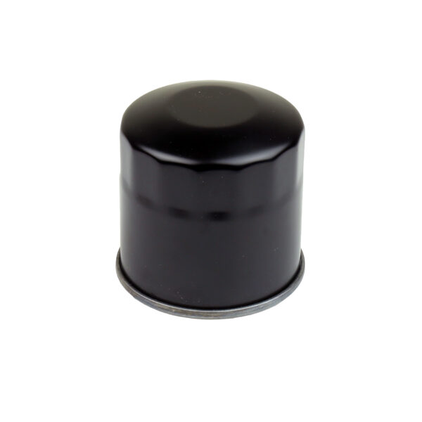 Athena Filtr oleju – HONDA VT/VF/VN 750 (HF202)