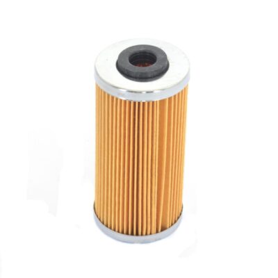 Athena Filtr oleju - BMW G450X (HF611)