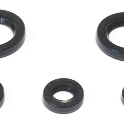 Athena Uszczelniacz - KTM DUKE 125 (2011-2016)