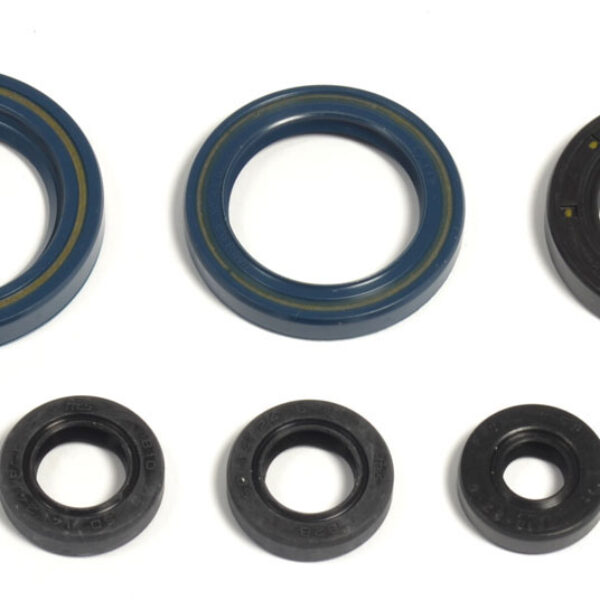 Komplet (Zestaw) Uszczelniaczy Silnikowych KTM GS125`87-97, EGS125`95-97 | Athena