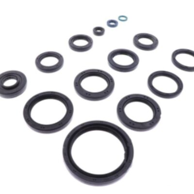 Athena Uszczelniacz - KAWASAKI KVF 650 BRUTE FORCE (2005-2013)