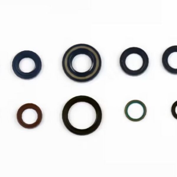 Athena Uszczelniacz – DUCATI MONSTER 400 / 600 /… (1993-2000)