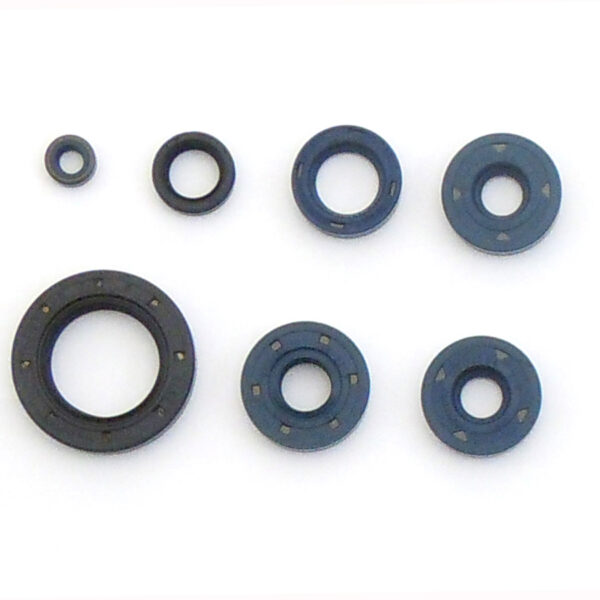 Athena Uszczelniacz – BMW F650 GS (1993-2008)