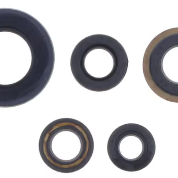 Komplet (Zestaw) Uszczelniaczy Silnikowych Yamaha XV125 VIRAGO ’97-’00 | Athena