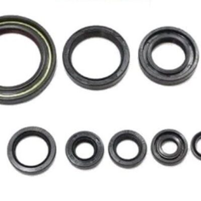 Worx Komplet (Zestaw) Uszczelniaczy Silnikowych Kawasaki KX 450F '06-'15 (822319)