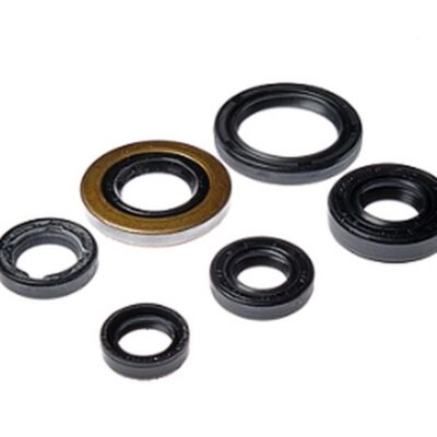 Worx Komplet (Zestaw) Uszczelniaczy Silnikowych Honda TRX 400EX '05-'08, TRX 400X '09-'14 (822278)