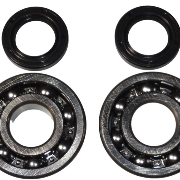 Worx Łożyska Wału Korbowego Kawasaki KDX 200 ’91-’06, KDX 220 ’97-’05 (NTN) (Made IN Japan) (24-1045) | Bearing