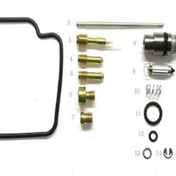 Worx Zestaw Naprawczy Gaźnika Polaris Sportsman 600 ’03, Sportsman 700 ’03-’07, Sportsman MV7 ’05, (26-1009) | Bearing