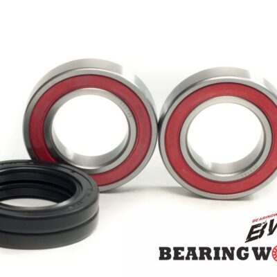 NG Uszczelniacz - YAMAHA YFS200 BLASTER (1988-2025)