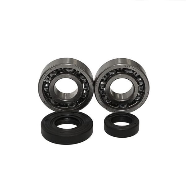 Worx Łożyska Wału Korbowego KTM SX 50 ’02-’08 (NTN) (Made IN Japan) (24-1101) | Bearing