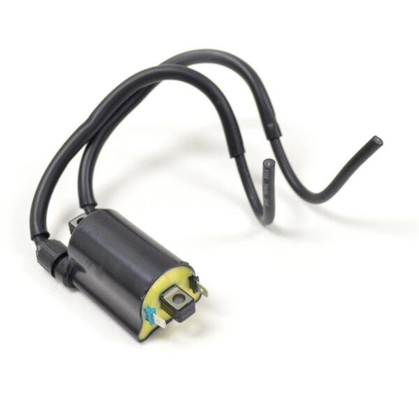 Cewki zapłonowe – HONDA VT 600 C (1987-2007)