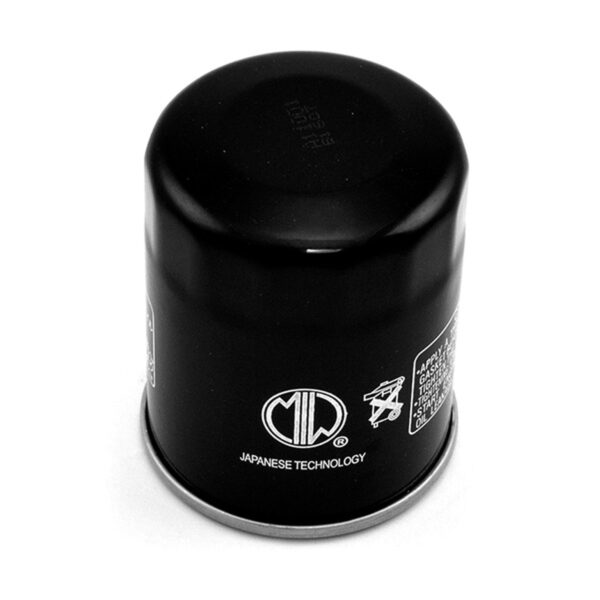 Filtr Oleju Arctic Cat (HF621) | MIW