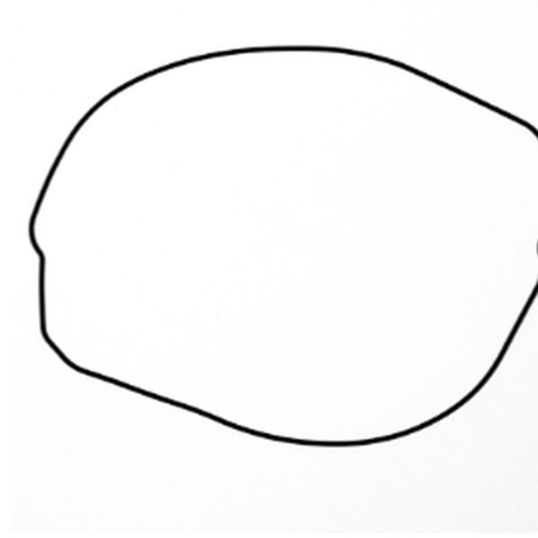 Prox Uszczelka – HONDA CR 250 (ZEWNĘTRZNA) (2002-2007)