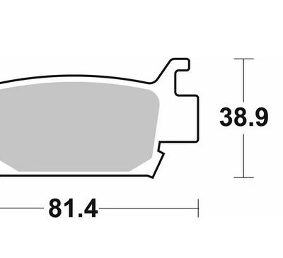 SBS Klocki hamulcowe - HONDA TRX 500/680/700 (PATR...
