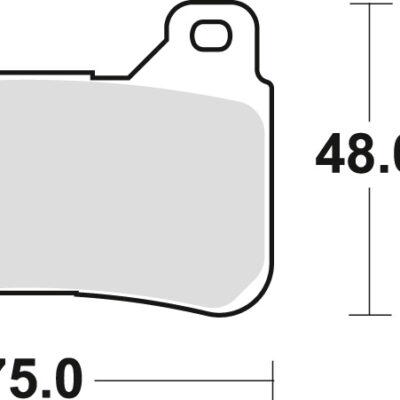 TRW Klocki hamulcowe - HONDA CBR 600 RR (2004-2016)