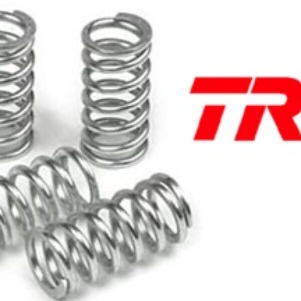 TRW Tarcza sprzęgłowa – BMW F 650 GS (2006-2020)