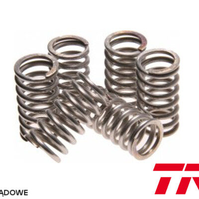 Sprężyny Sprzęgłowe Kawasaki ZR 750 ZEPHYR 96-99, ZX-9R 900 NINJA 94-97, ZXR 1200 01-06, (EBS038) | TRW ZF