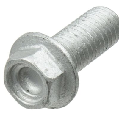 TRW Śruby tarcz hamulcowych - APRILIA ETV 1200 CAPONORD (2003-2017)