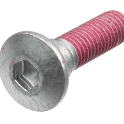 TRW Śruby tarcz hamulcowych - KAWASAKI KLE 650 VERSYS (2003-2017)