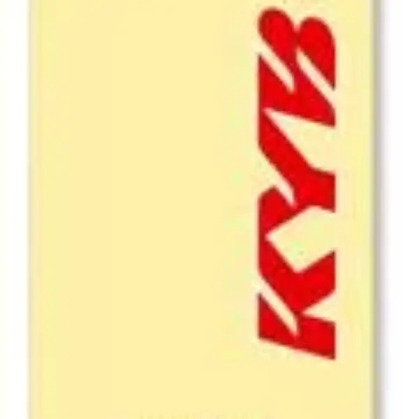 BLACKBIRD KOMPLET NAKLEJEK (OKLEIN) NA TELESKOPY KAYABA-TRANSP 2 SZT. | emotoshop24